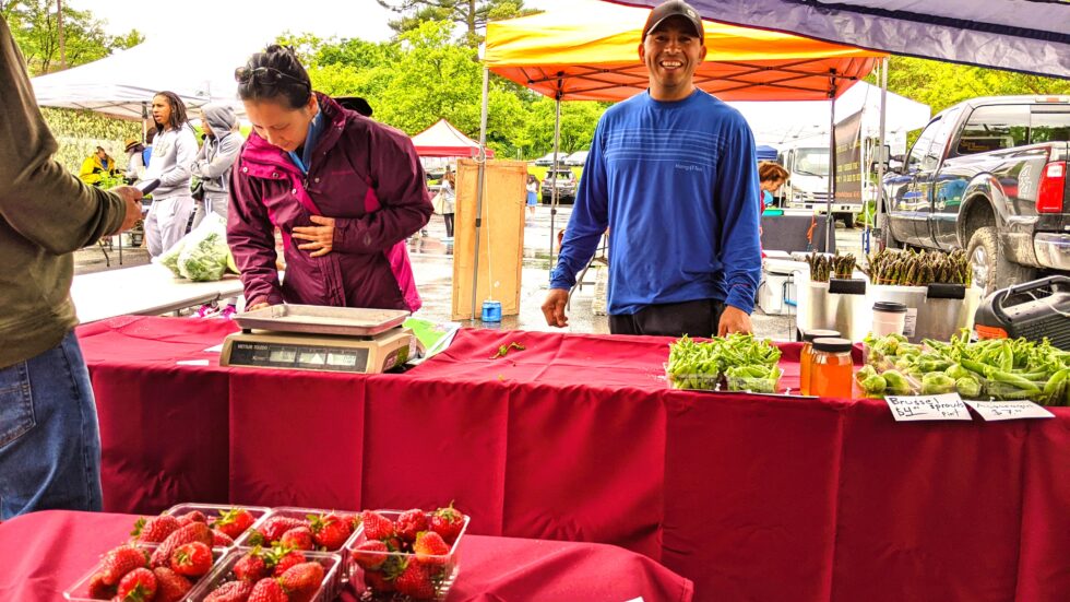 Savage Farmers Market A Tasty Destination in the Heart of Savage